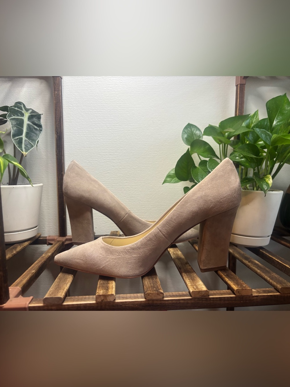 Wild mushroom true suede Vince Camuta
